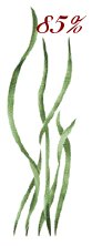 Seagrass 3